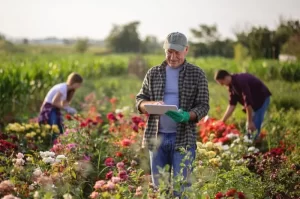 Eco-Friendly Business Ideas for Young Entrepreneurs