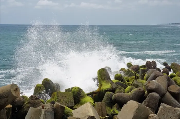 Beautiful Glagah Beach