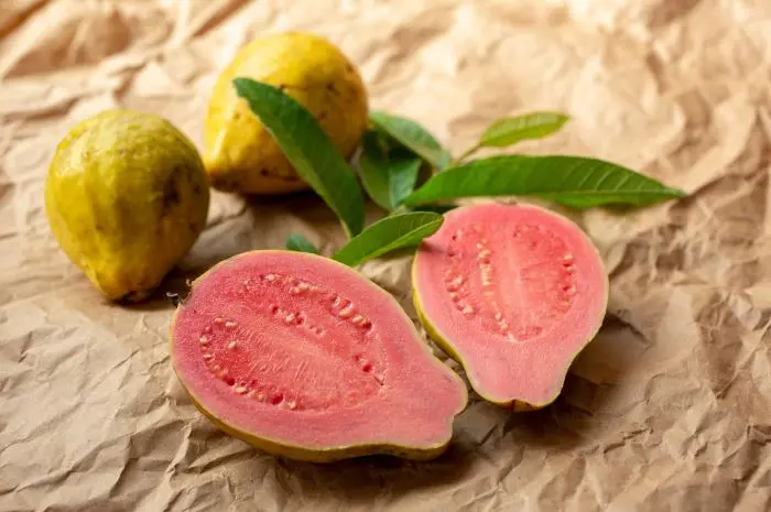 Guava