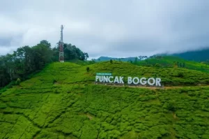 Tourist Destinations in Bogor for a Fun and Useful Vacation